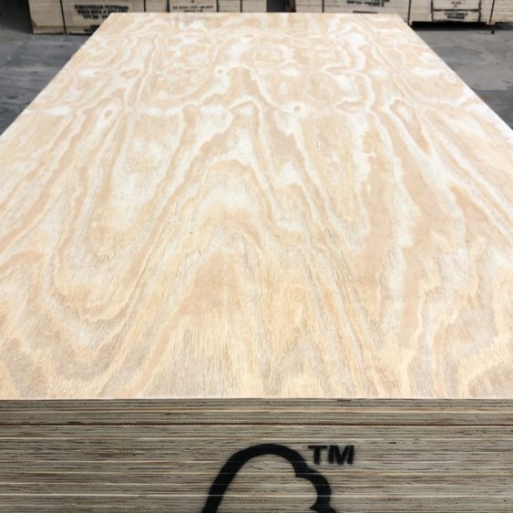 IFP Brazilian Pine Plywood